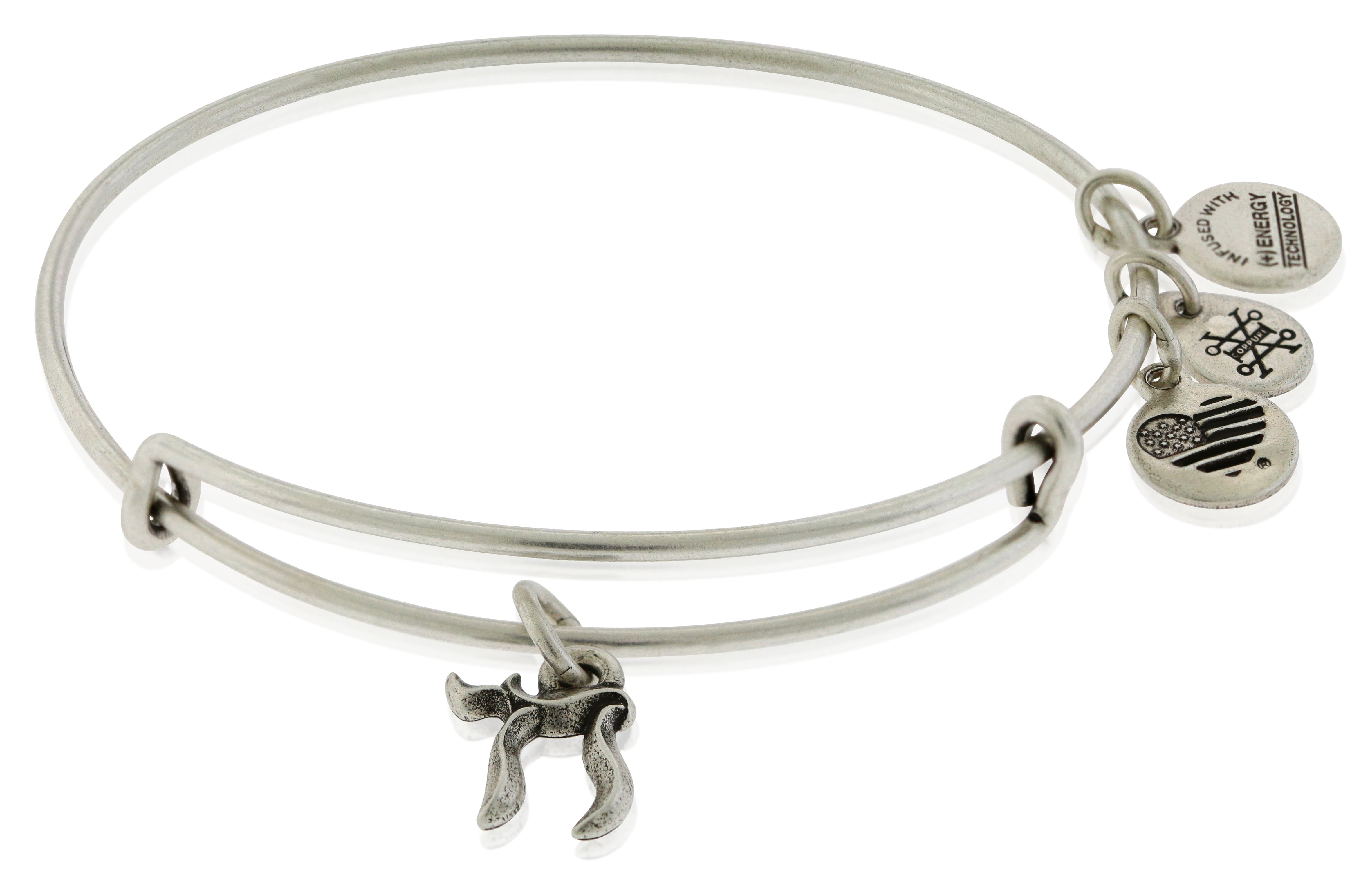 Alex and Ani Chai Charm Bangle - A18CHA101RS