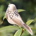 thumbnail image 4 of 12Pcs Artificial Animal Bird Spadger Sparrow with Clip Home Garden Tree Ornament, 4 of 8
