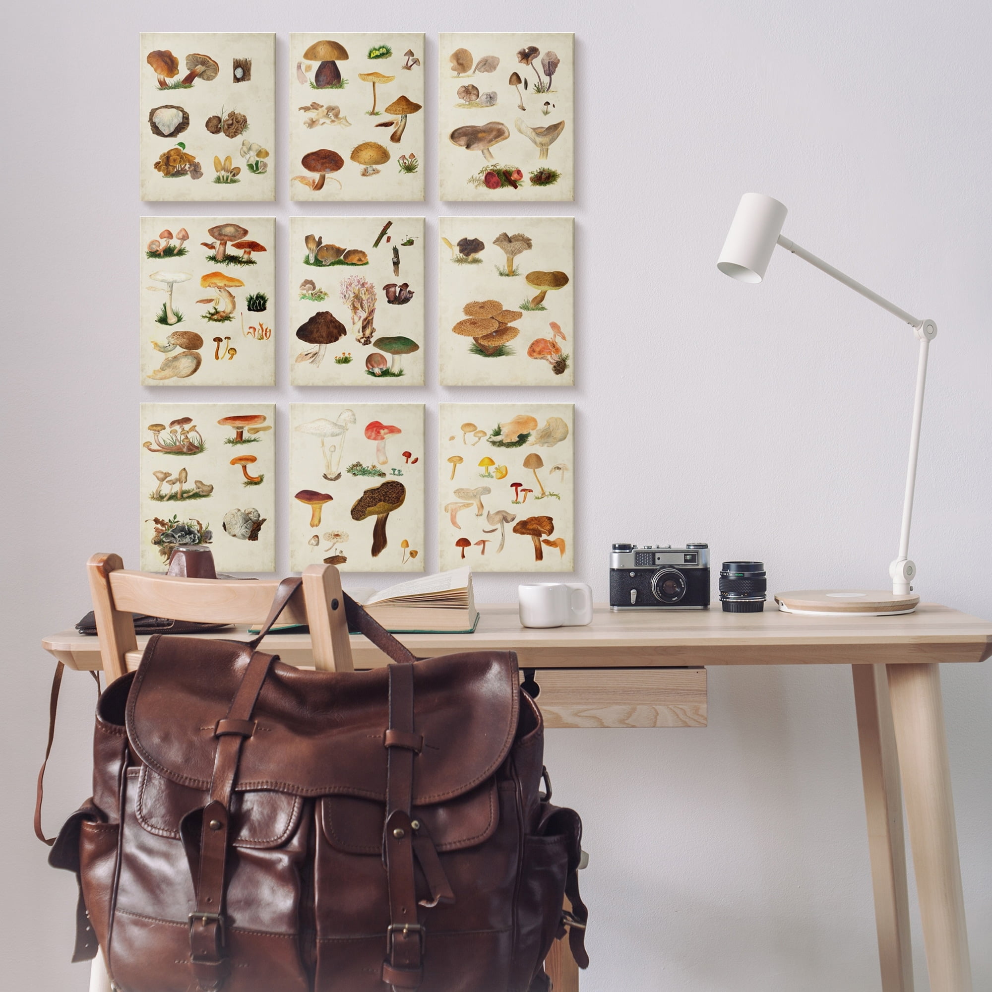 Various Rustic Mushrooms Vegetal Nature Study Diagram Botanical & Floral Painting Gallery-Wrapped Canvas Print Wall Art, Set Of 9