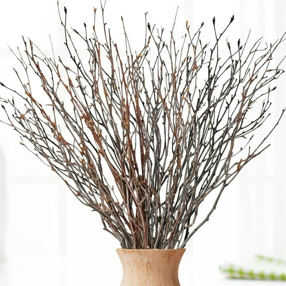 18in Birch Twigs,Natural Dried Birch Branches for Vase Decoration,QZS DIY Centerpiece Arrangment,Rustic Home Decor for Craft,Vases,20pcs