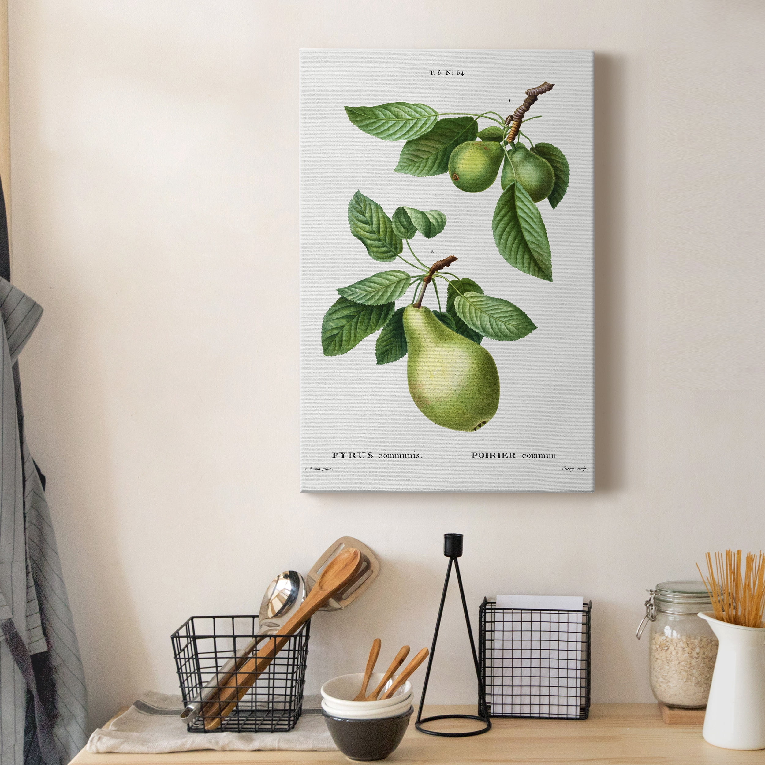 Pear, Pyrus communis from Traité des Arbres et Arbustes que l'on cultive en France en pleine terre Premium Gallery Wrapped Canvas - Ready to Hang - 12 x 18