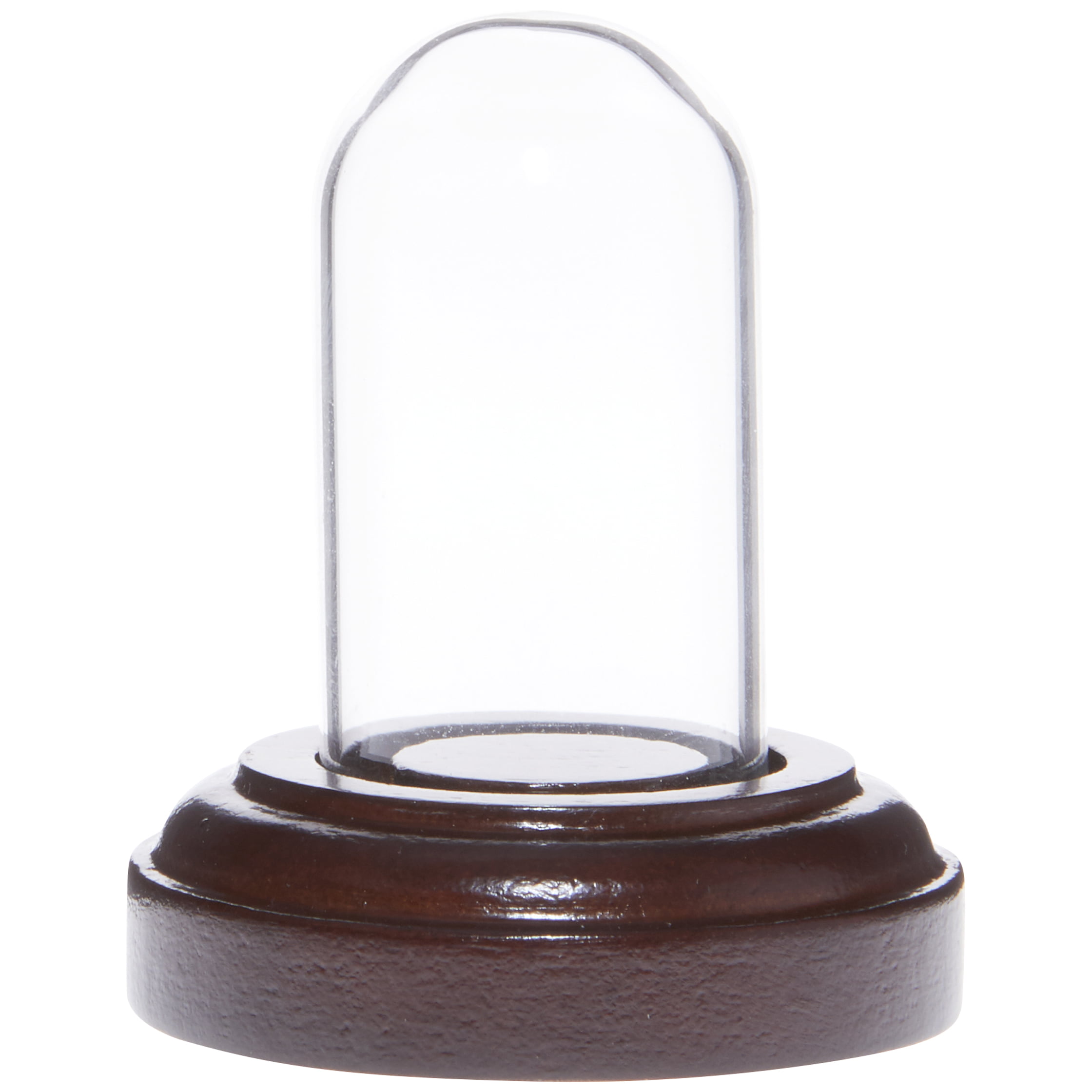 Plymor 2" x 2" Mini Glass Display Dome Cloche Black Wood Veneer Base 