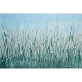 thumbnail image 3 of OToole, Tim 24x17 Black Modern Framed Museum Art Print Titled - Tall Grass II, 3 of 5