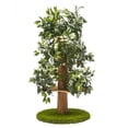 thumbnail image 1 of CatHaven Large Round Cat Condo  5ft., 1 of 1