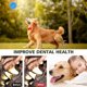thumbnail image 5 of 3Pcs Dogs Chew Spiky Ball Soft TPR Squeaky Dog Ball Toys Floatable Dog Pool Toy Reduce Anxiety Toss Fetch Toys for Boredom Teeth Cleaning Dog Chew Toys Interactie for Small and Medium Dogs, 5 of 6