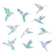 thumbnail image 1 of Pegatinas estáticas Arco Iris prisma ventana se aferra colibrí parada alerta anticolisión evitar choque vidrio decoración del hogar, 1 of 2