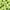 Z6 Hydrangea Forest Green, variant on Jordan Manufacturing 17.5" x 19.75" Barn Red Solid Rectangular Outdoor Chair Pad Seat Cushion with Ties and Rounded Corners