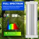 thumbnail image 4 of Grow Light Barrina TX18, 30 cm, 72 W, 5000 K, espectro completo, paquete de 4, 4 of 9