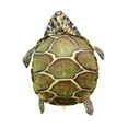 thumbnail image 2 of Almohadas de concha de tortuga Hugo Juguete de peluche Caparazón de tortuga usable 60cm, 2 of 10