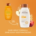thumbnail image 2 of Aveeno Apple Cider Vinegar Blend Shampoo for Clarify and Shine, 12 oz, 2 of 6