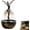 A, variant on Artistic Ballerina Sculpture Tabletop Water Feature, Elegant Flowing Skirt Mini Fountain Ornament, Resin Desktop Water Decor For Living Room, Office & Indoor Home Display (A)