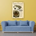 thumbnail image 2 of Crocodile Wall Art Knowledge Poster Educational Wall Art Vintage Prints American Crocodile Decorations For Bedroom Unframed 24×36 in, 2 of 5