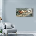 thumbnail image 3 of Trademark Fine Art 'Stampede I' Canvas Art by PHBurchett, 3 of 4