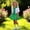 167Green341, variant on Children Girls Performance Outfit Sets Cheerleader Dance Short Sleeve O-Neck T-Shirts With Skirts For Kindergarten Graduation Stage Show Leisure Clothes Sets