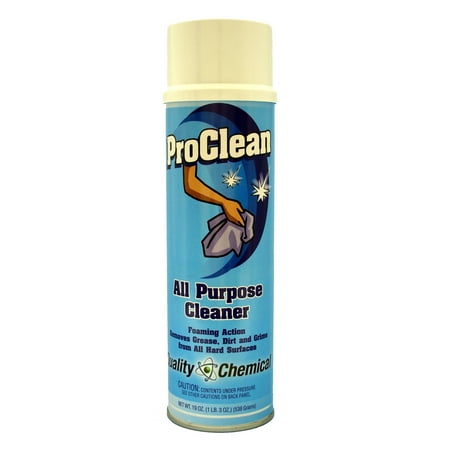 ProClean All purpose cleaner with foaming action - Case of (Best Spray Foam For Sculpting)