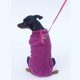 thumbnail image 5 of Mascota Sólido Suéter Jersey Lindo Otoño Invierno Perros Camisas Suave Mascota Cachorro Ropa 5 Tamaños, 5 of 7