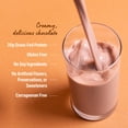 thumbnail image 4 of Orgain Chocolate Grass Fed Clean Protein Shake-12 pack, 4 of 7