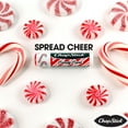 ChapStick Fun Candy Cane Peppermint Lip Balm Tubes 0.15 oz (Pack of 3