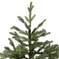 thumbnail image 4 of Northlight Real Touch™️ Full Northern Pine Artificial Christmas Tree - 6.5' - Unlit, 4 of 8