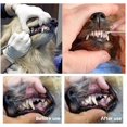 thumbnail image 5 of Ensemble de 2 Outils Dentaires pour Chiens en Acier Inoxydable, 5 of 5