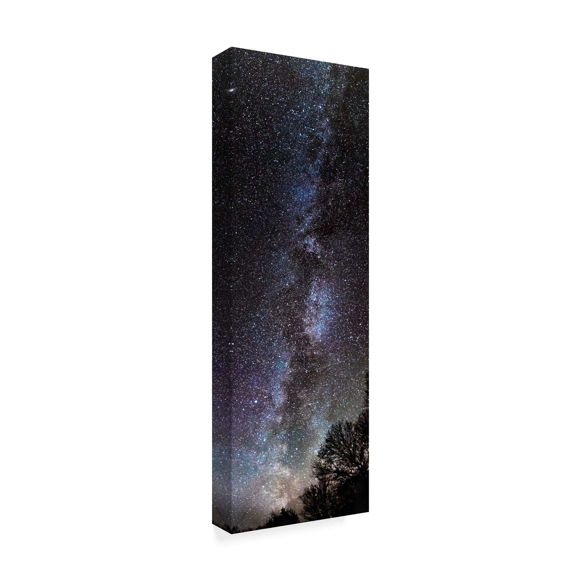 Trademark Fine Art 'Backyard Milky Way' Canvas Art by Brenda Petrella Photography Llc