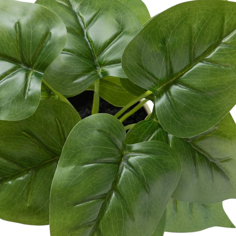 (3 pack) 10-inch x 4-inch Artificial Philodendron Leaf Plant in White Pot,  Green, for Indoor Use, by Mainstays
