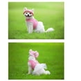 thumbnail image 2 of SHOWERORO 1Set Pink Mesh Plush Clothes for Taking Special Occasion Warmth, 2 of 8