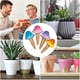 thumbnail image 2 of Estacas para Riego de Plantas, 4 Piezas, Bonitos Setas, Bebederos Automáticos para Plantas, Inserto, Bebedero para Jardín, Picos de Riego de Arcilla,, 2 of 5