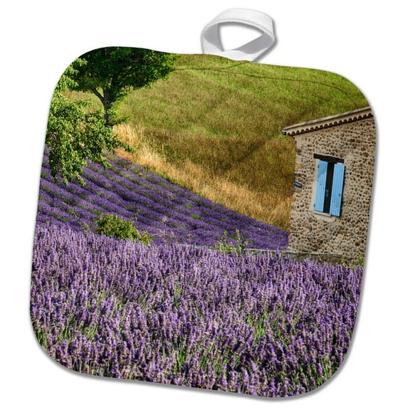 3dRose, France, Provence. Lavender fields near a home., 8x8 Potholder