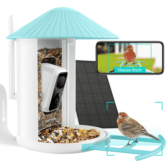 Bird Feeder with Camera, Netvue Birdfy Bird Watching Cameras Solar Powered with Lifetime AI, Blue