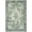 Green, variant on Brisasol Throw Rugs with Rubber Backing Washable Small Rug 2x3 Indoor Doormat Blue Kitchen Rugs for Bedroom Entryway
