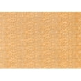thumbnail image 1 of Ahgly Company Indoor Rectangle Solid Orange Modern Area Rugs, 8' x 10', 1 of 4