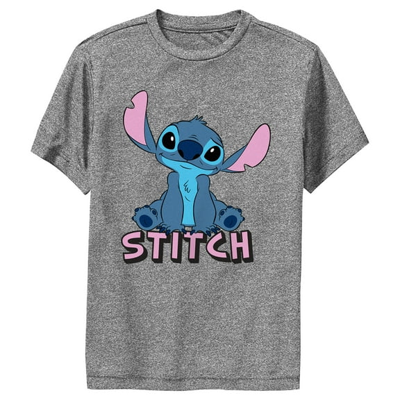 Boy's Lilo & Stitch Sitting Cute Stitch  Performance Graphic Tee Charcoal Heather X Large
