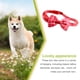 thumbnail image 5 of Collares para perros Greeniant Pajarita Decoraciones celosía roja, 5 of 6