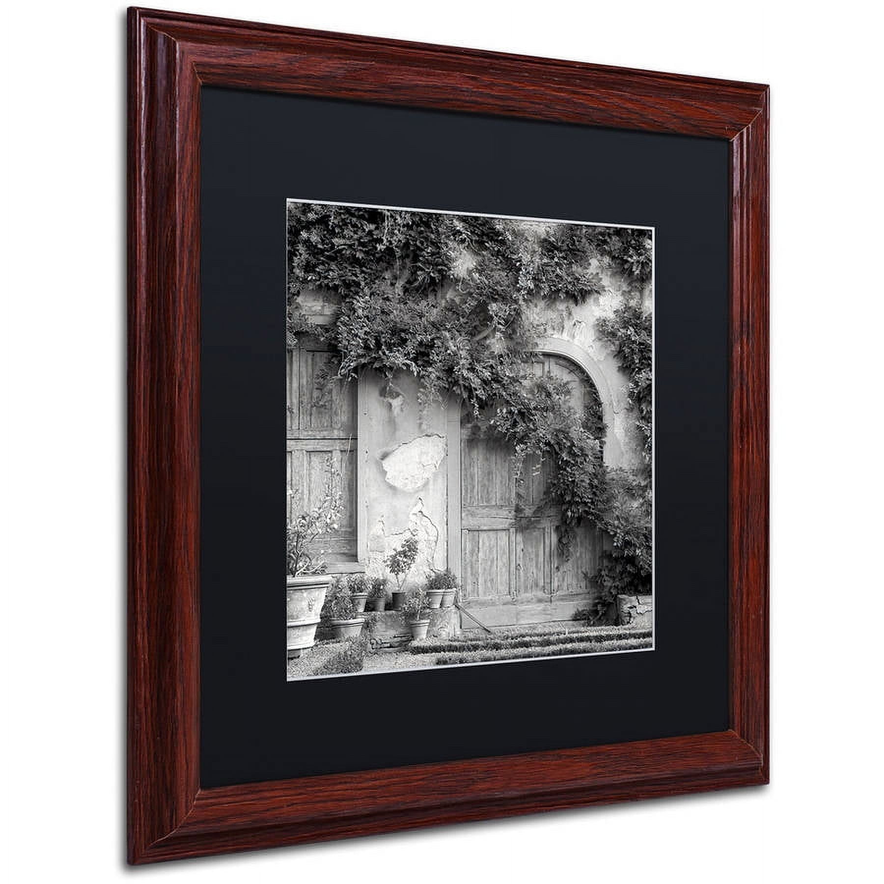 Trademark Fine Art "Tuscany VI" Canvas Art by Alan Blaustein, Black Matte, Wood Frame