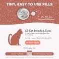thumbnail image 6 of BestLife4Pets Cat Itchy Skin Relief & Hair Loss Supplement, Holistic Skin Allergy Relief - 400 Pills, 6 of 14