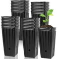 thumbnail image 1 of 20Pcs Tall Tree Pot Plastic Deep Nursery Treepot 7.8inch Tall Seedling Flower Plant Container, 1 of 8