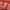 Red, variant on The Pioneer Woman Sweet Romance Cow 8x8 Square Ceramic Baking Dish, 1-Piece