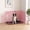 Pink, variant on CL.HPAHKL 24 Inch Folding Wire Dog Crate, Double Door Metal Puppy Kennel with Removable Plastic Tray, Indoor Outdoor Travel Cage for Small Dogs, Black