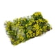 thumbnail image 5 of Arbustos de tierras bajas, arbustos de flores, arbustos de flores, arbustos de hierbas ... flores, arbustos de flores, arbustos de flores, arbustos de flores, arbustos de flores, amarillo, 5 of 9