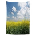 thumbnail image 3 of Ambesonne Country Tablecloth Rectangular Table Cover, Rape Field Germany, 60"x90", Yellow Green Blue, 3 of 4