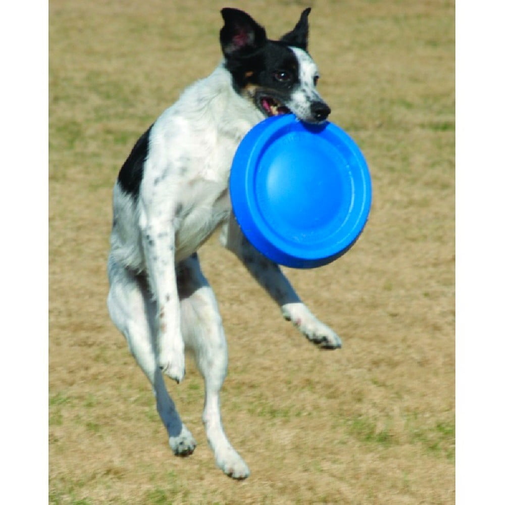 Dog Jump Catch and Fetch Toys Floating Interactive Foam Flyer Glider Disc FUN! (9 inch Blue)