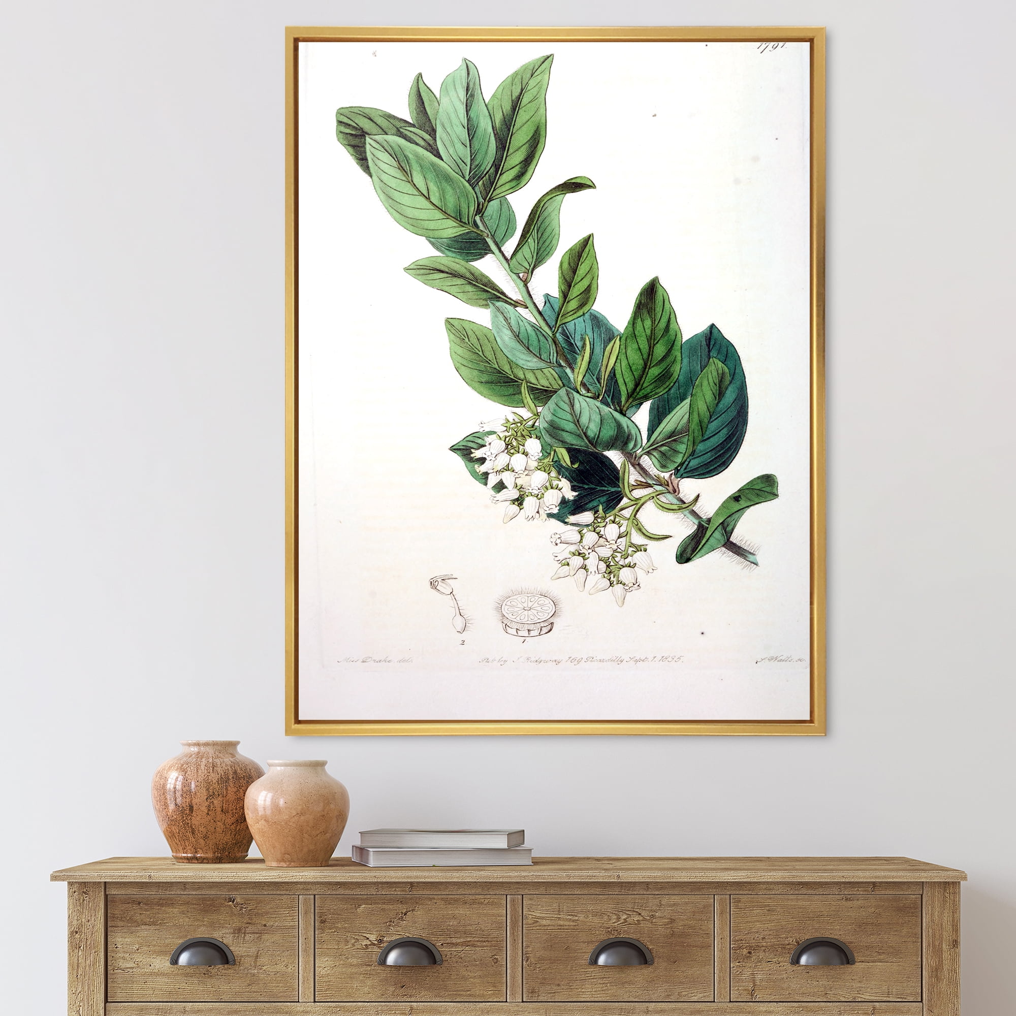 Designart 'Ancient Botanicals XX' Traditional Framed Canvas Wall Art Print