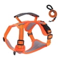 thumbnail image 5 of Cat Dog Harness and Leash Set XS Puppy Harness for Small Dogs Soft Suede No Pull Dog Vest Harness Adjustable XSmall Dog Harness with Leash for Cats Puppies Walking Training, 5 of 9