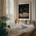 thumbnail image 4 of Resting in the Rockies - Banff Alberta Canada Photography Nature Wildlife Forest Scenic Autumn Rustic Rural Unframed Wall Art Print 22 x 28 inches, 4 of 13