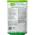 thumbnail image 2 of Gro Green Perennial Rye Fast Growing Grass Seed - 2 lb., 2 of 5