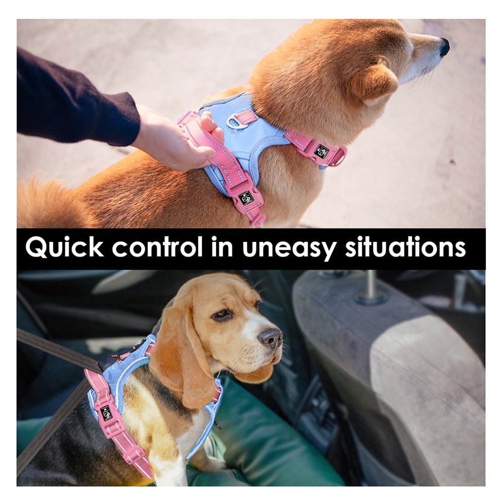 PHOEPET No Pull Dog Harness, Unique Colors Reflective Adjustable Dog Vest, with Soft Training Handle Metal Clips for Small Medium Large Dogs (Baby Blue Base & Pink Straps)