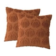 thumbnail image 2 of 2 fundas de almohada de calabaza para otoño, con cremallera, cuadradas, para decoración del hogar Caramelo, 2 of 9