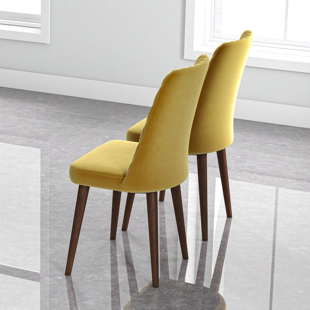 Ellen Mid-Century Modern Gold Velvet Dining Chair (Set of 2)