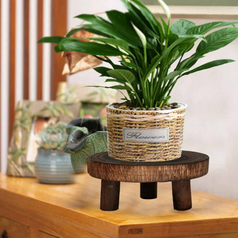 Indoor Plant Stand - Wood Mid Century Plant Stand for Indoor Plants, Modern Plant Table, 16 Tall Plant Holder for Flower Pots, Small Round Side Table